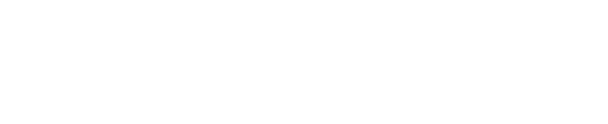 DreamITeam
